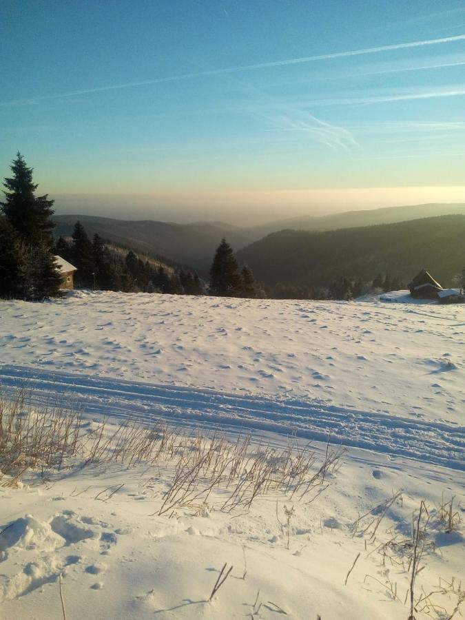 Fichtelberg Lejlighed